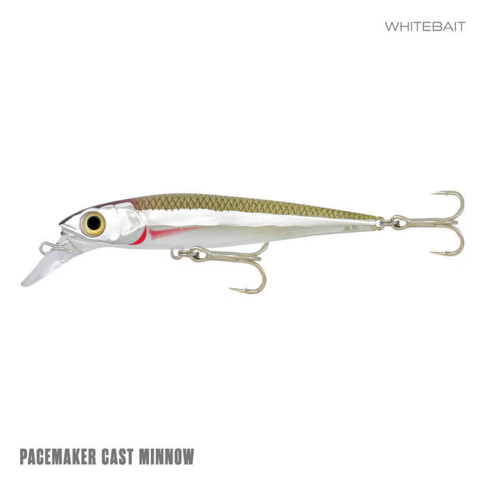 WHITEBAIT
