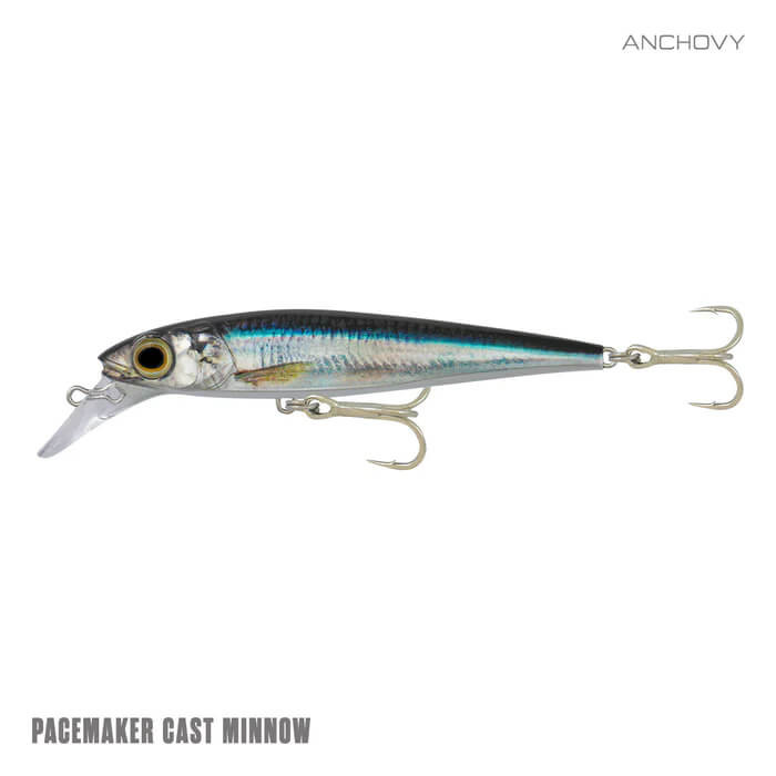 ANCHOVY
