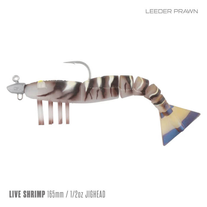 LEADER PRAWN
