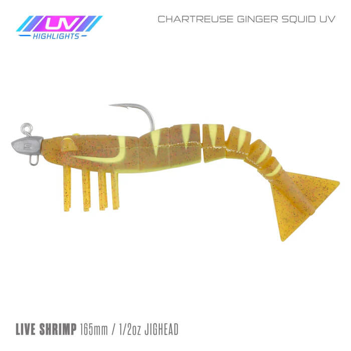 CHARTREUSE GINGER SQUID UV