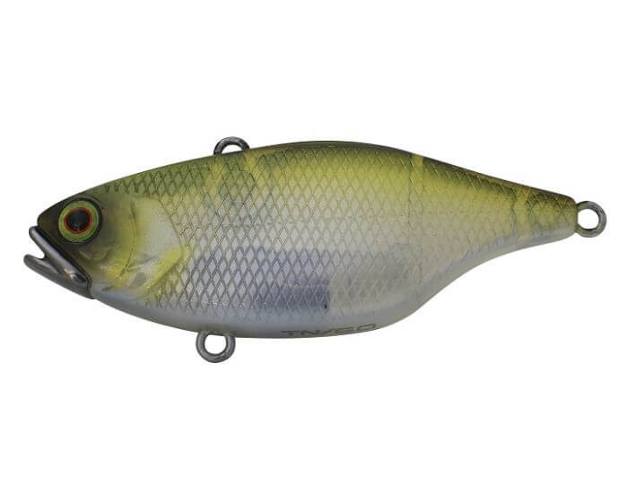 SHAD