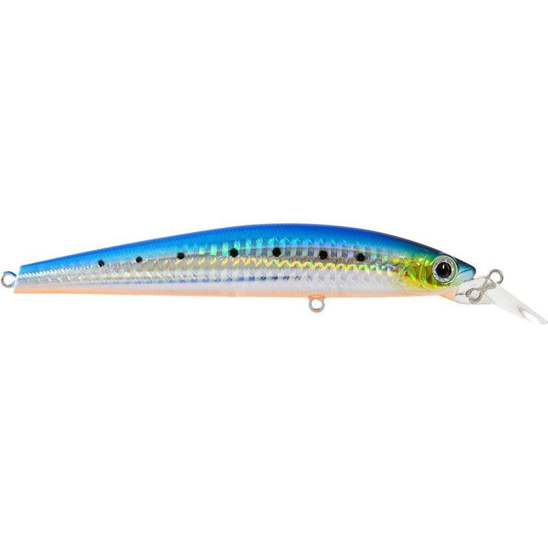 PILCHARD