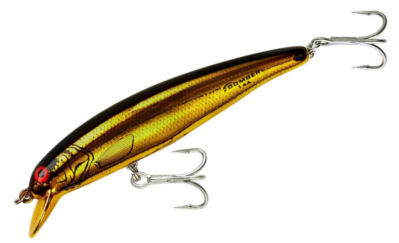 GOLD CHROME/BLACK BACK