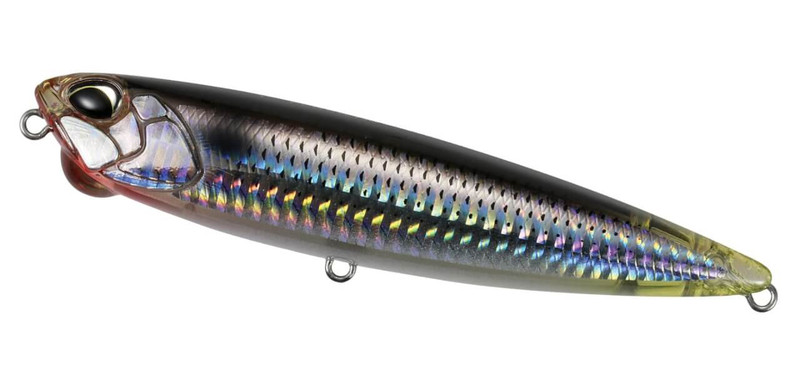 GHOST MINNOW