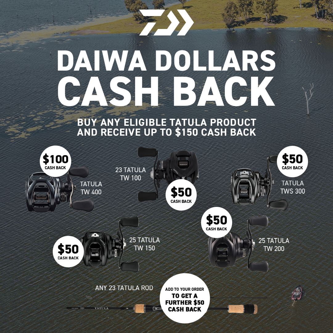 daiwa-dd-20260220-web-mobile-banner.png