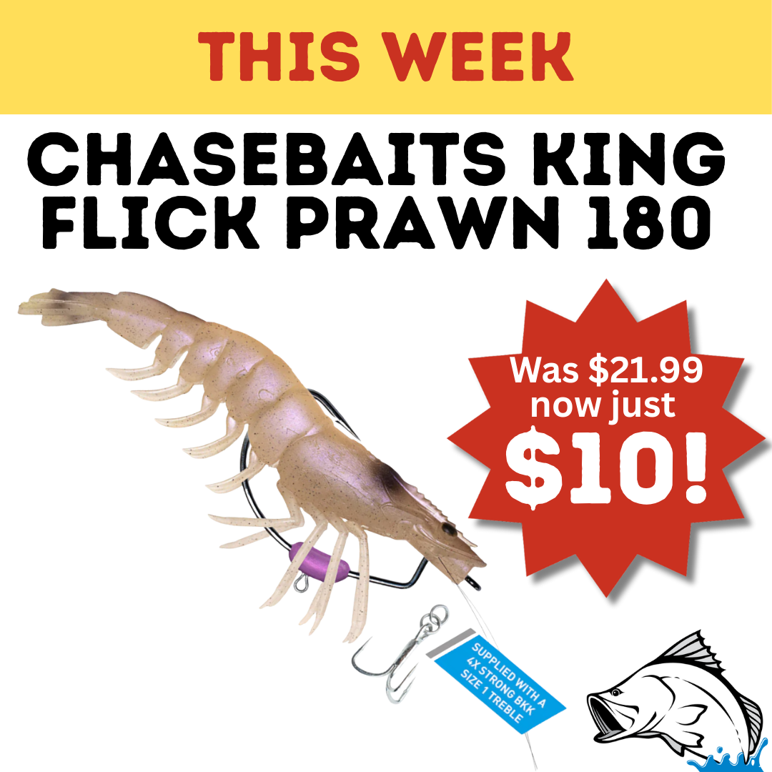 king-flick-prawn.png