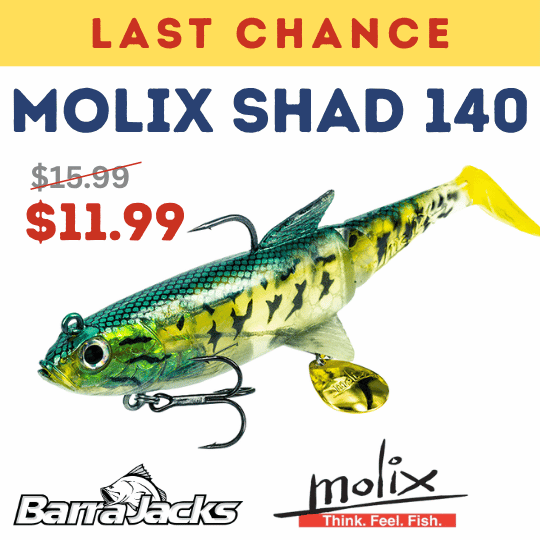 lc-websale-molix-1-.png