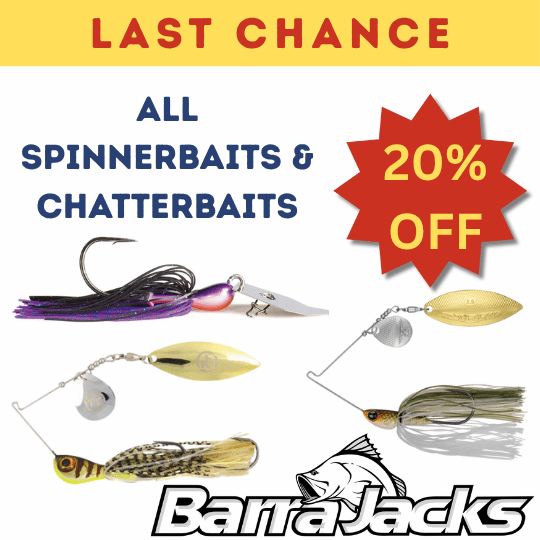 lc-websale-spinnerbaitschatterbaits-1-.png