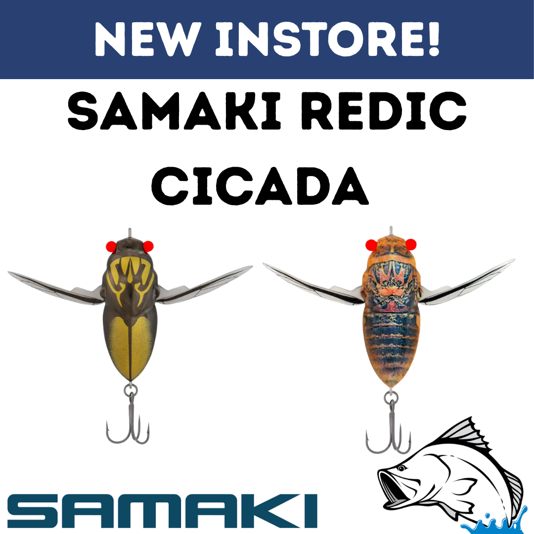 redic-cicada.png