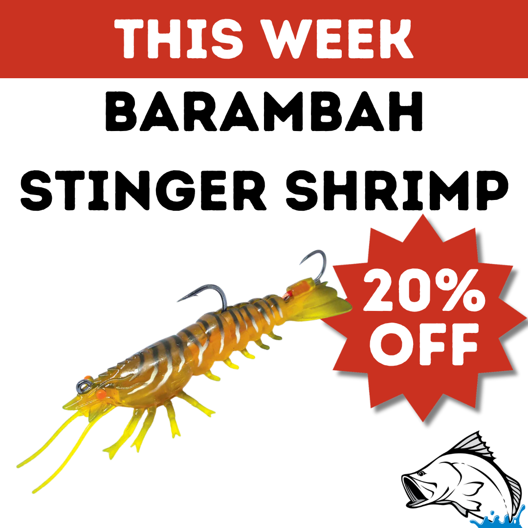 stinger-shrimp.png