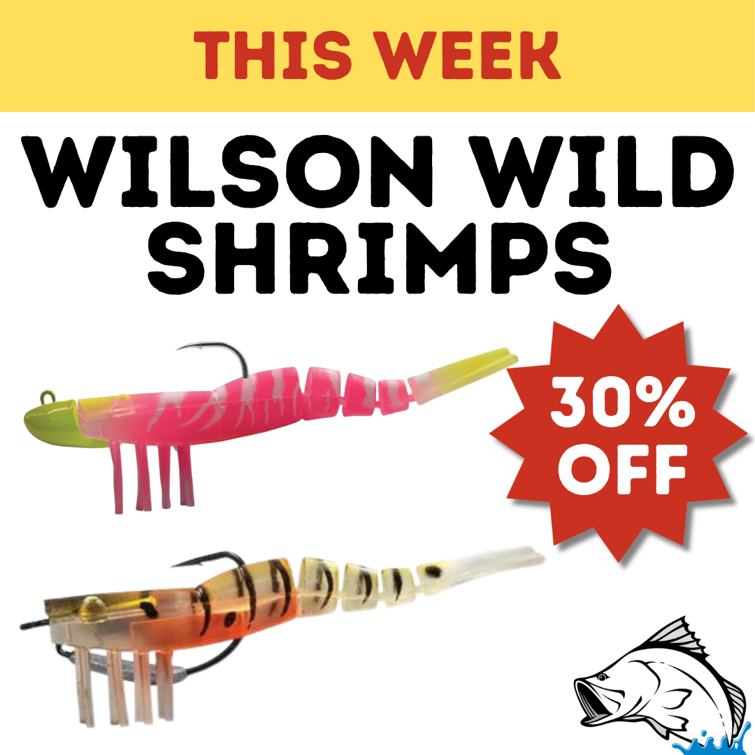 wild-shrimp.png