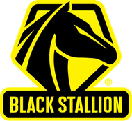 Black Stallion