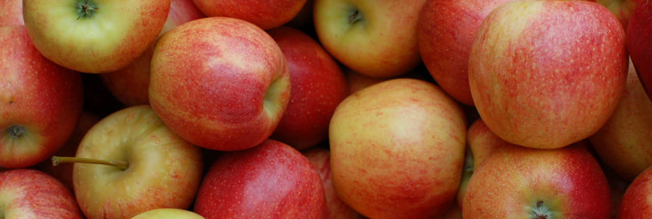 Fresh Organic Envy Apples  Central Market - Really Into Food