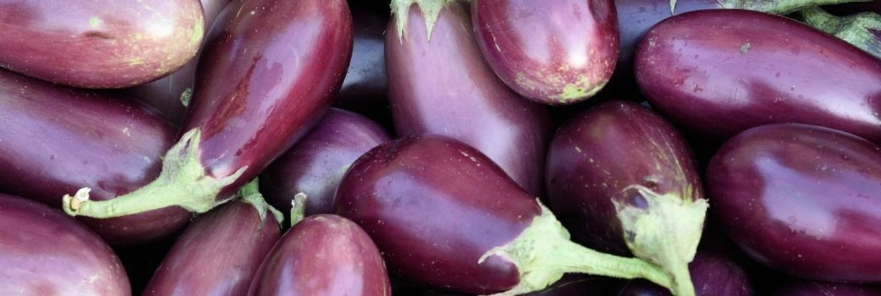 Eggplant