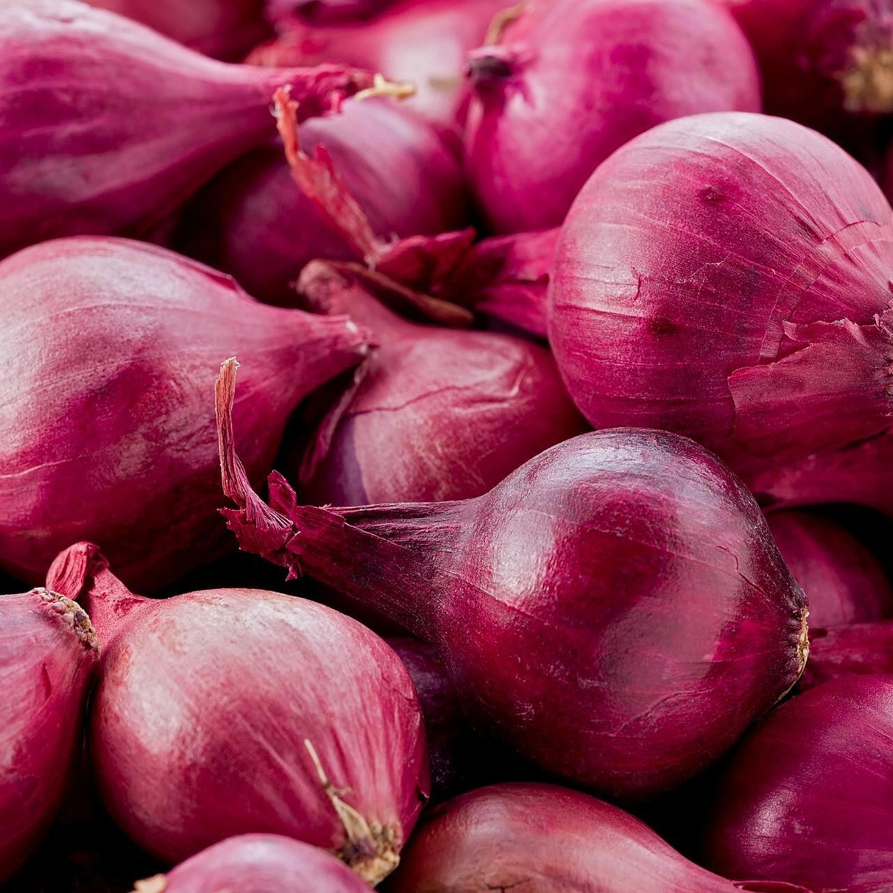 ONIPEA012 | Pearl Red Onion (12/10OZ BG) - Pacific Coast Fresh Co.