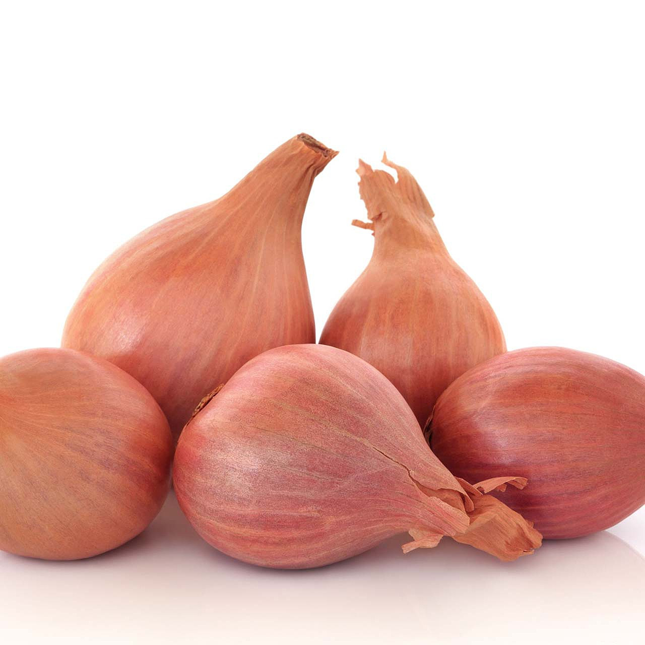 Banana Shallots Information and Facts