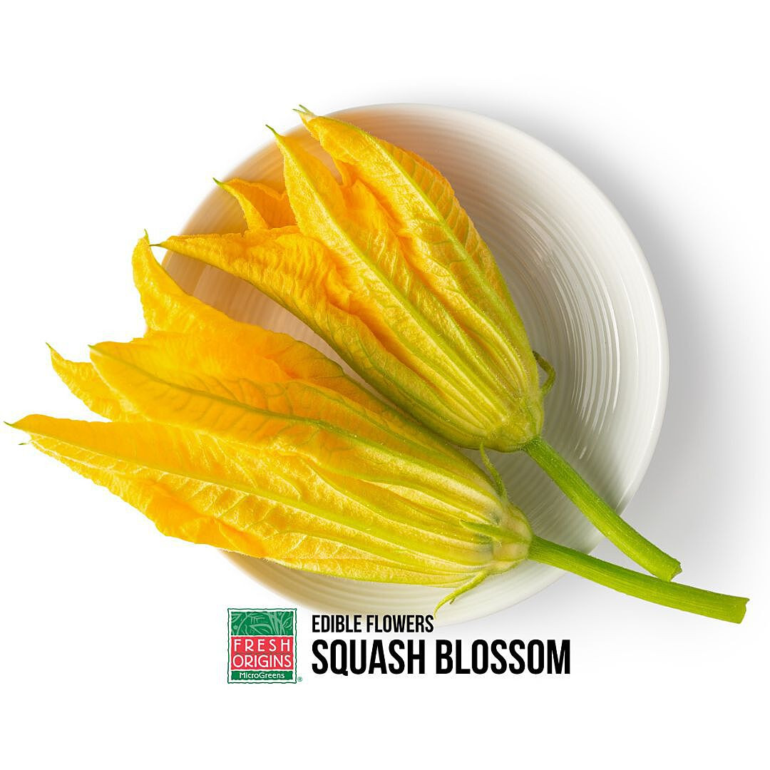 SQUBLO025 | Squash Blossom (25CT) - Pacific Coast Fresh Co.