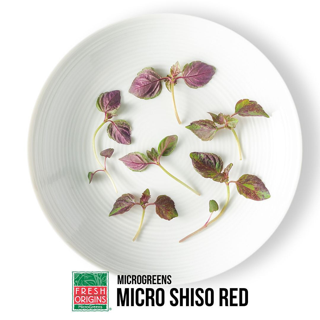 野菜 Michi MICSHI04ZPUR | Micro Green Shiso Red (4OZ) - Pacific Coast Fresh Co.