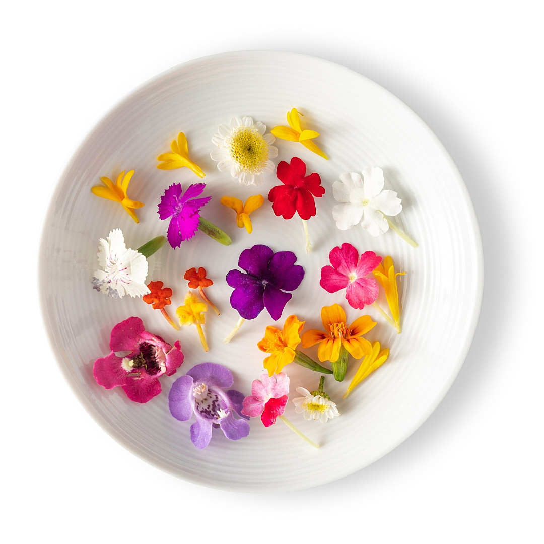 MICFLO04Z | Edible Flower Blend (200CT) - Pacific Coast Fresh Co.