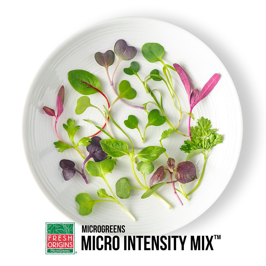 野菜 Michi MICINT04Z | Micro Green Intensity Mix (4OZ) - Pacific Coast Fresh Co.