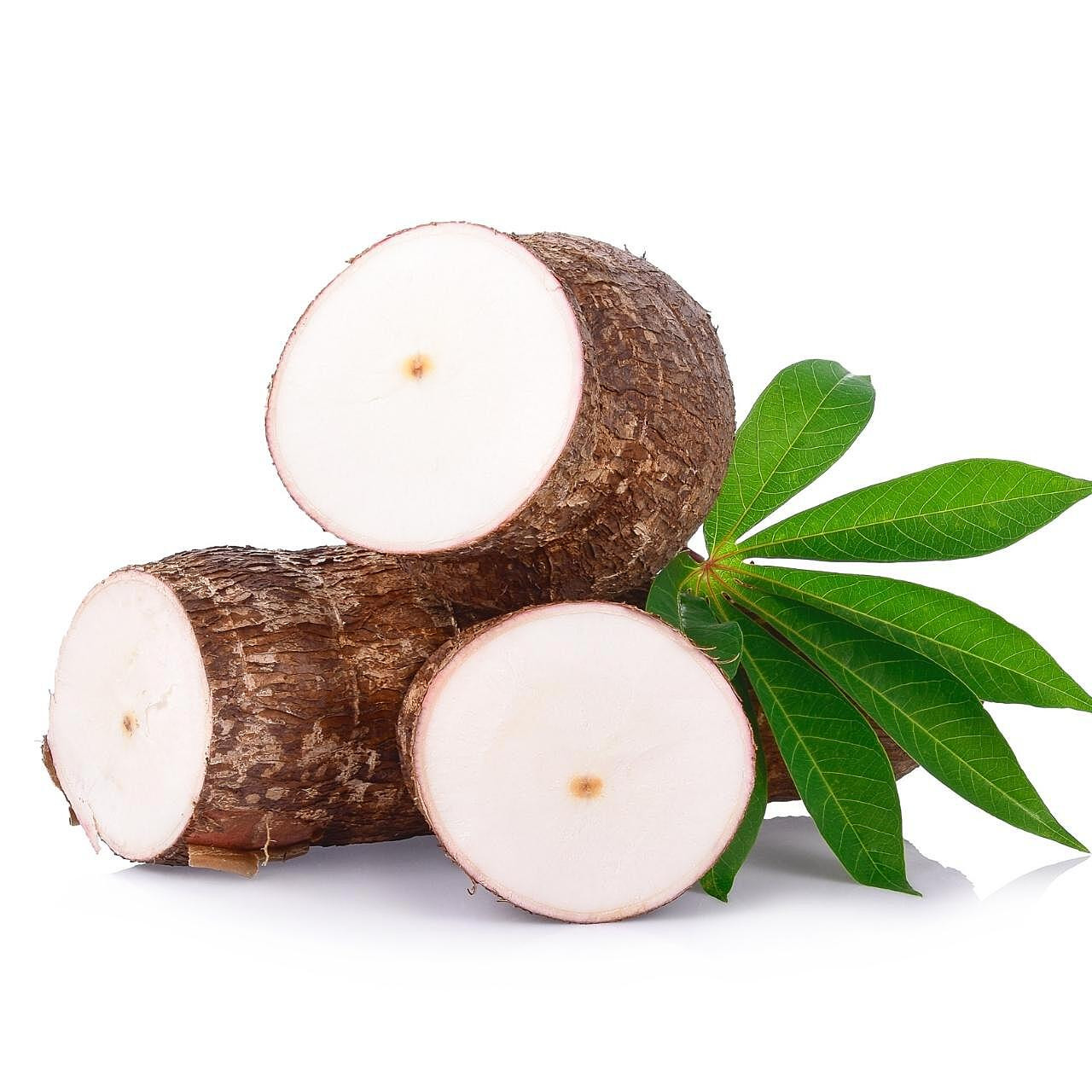 YUC05# | Yucca (5#) - Pacific Coast Fresh Co.