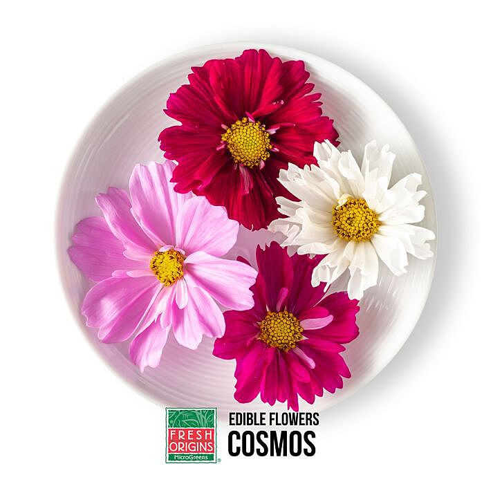 FLOCOS050 | Edible Cosmos Flower (50CT) - Pacific Coast Fresh Co.