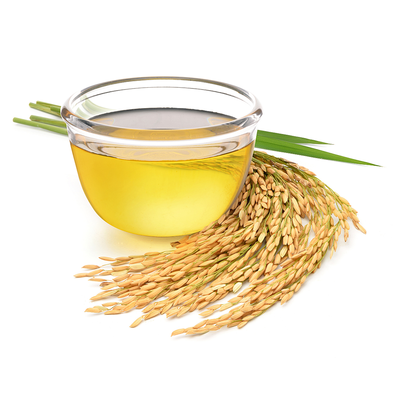 Rice Bran Oil