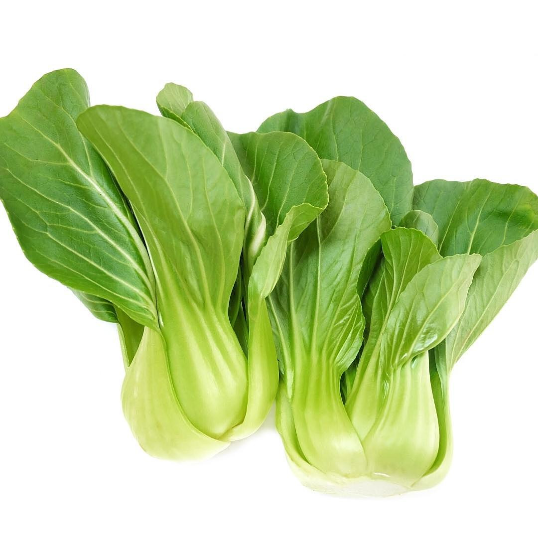 BOKSHA05#BAB | Shanghai Baby Bokchoy (5#) - Pacific Coast Fresh Co.