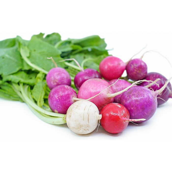 RADEAS024 | Easter Egg Radish Bunch (24CT) - Pacific Coast Fresh Co.