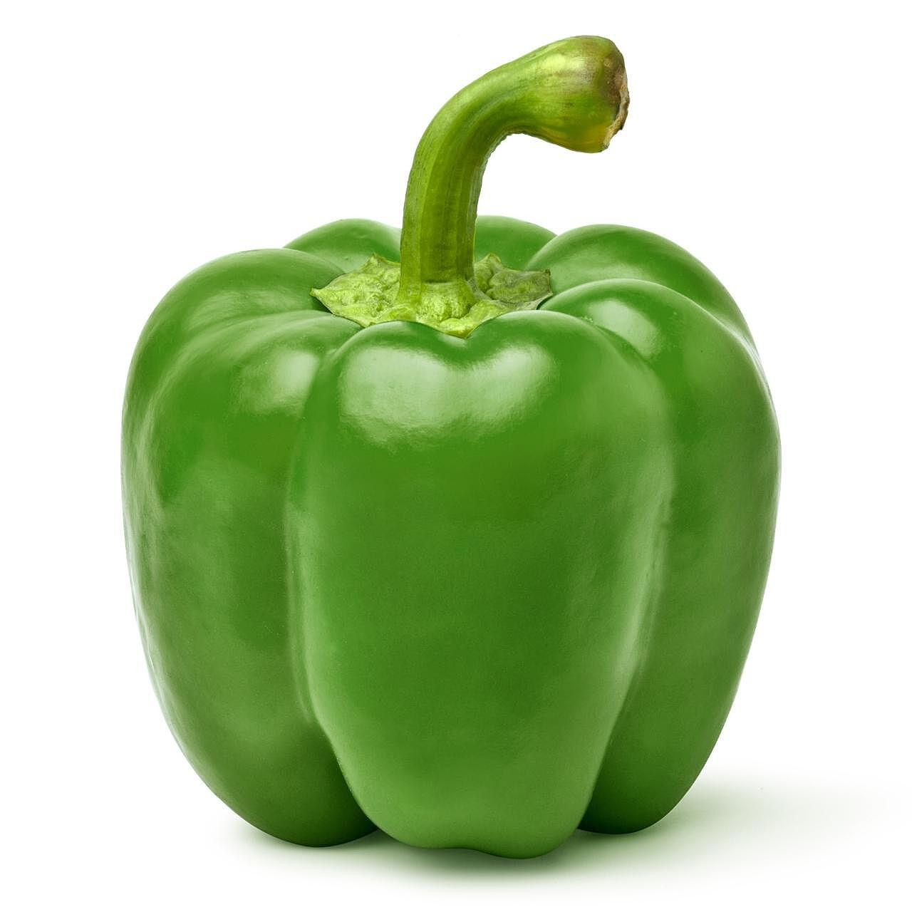 greenpepper PEPGRE01B | XL Green Pepper (1-1/9 BSHL) - Pacific Coast Fresh Co.