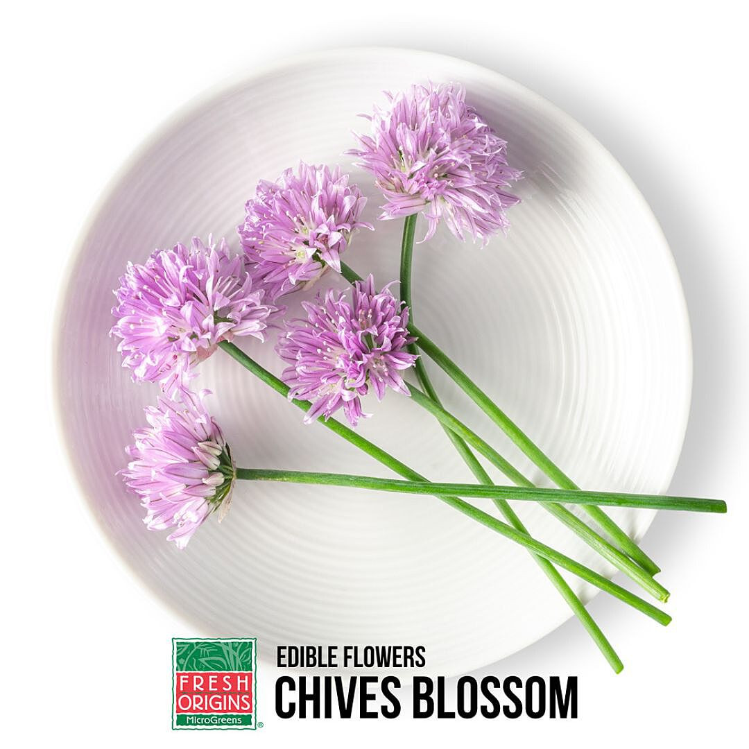MICCHI | Chive Blossoms (50CT) - Pacific Coast Fresh Co.