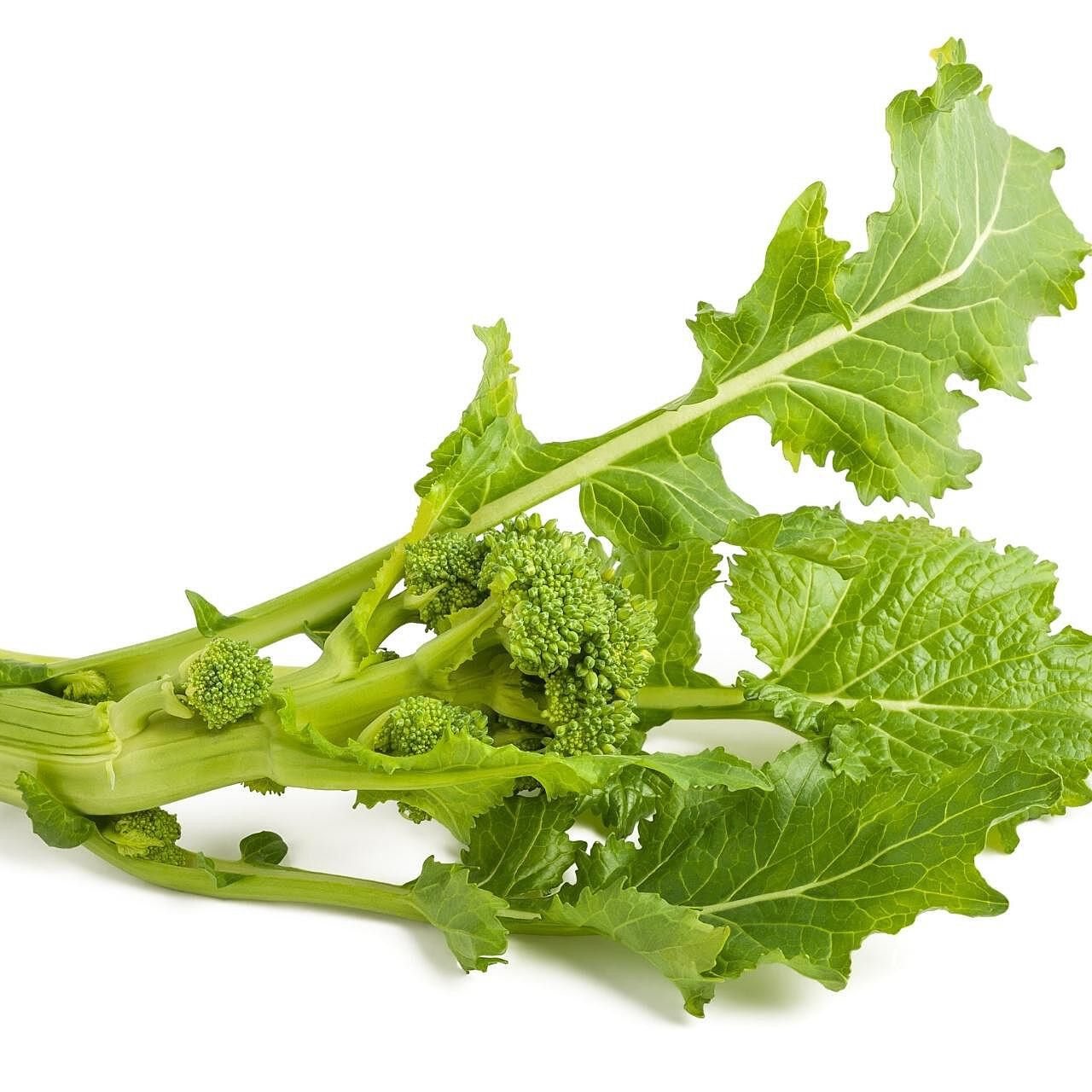 BRORAB020 Fruit Broccoli | Rabe (20CT) - Coast Pacific