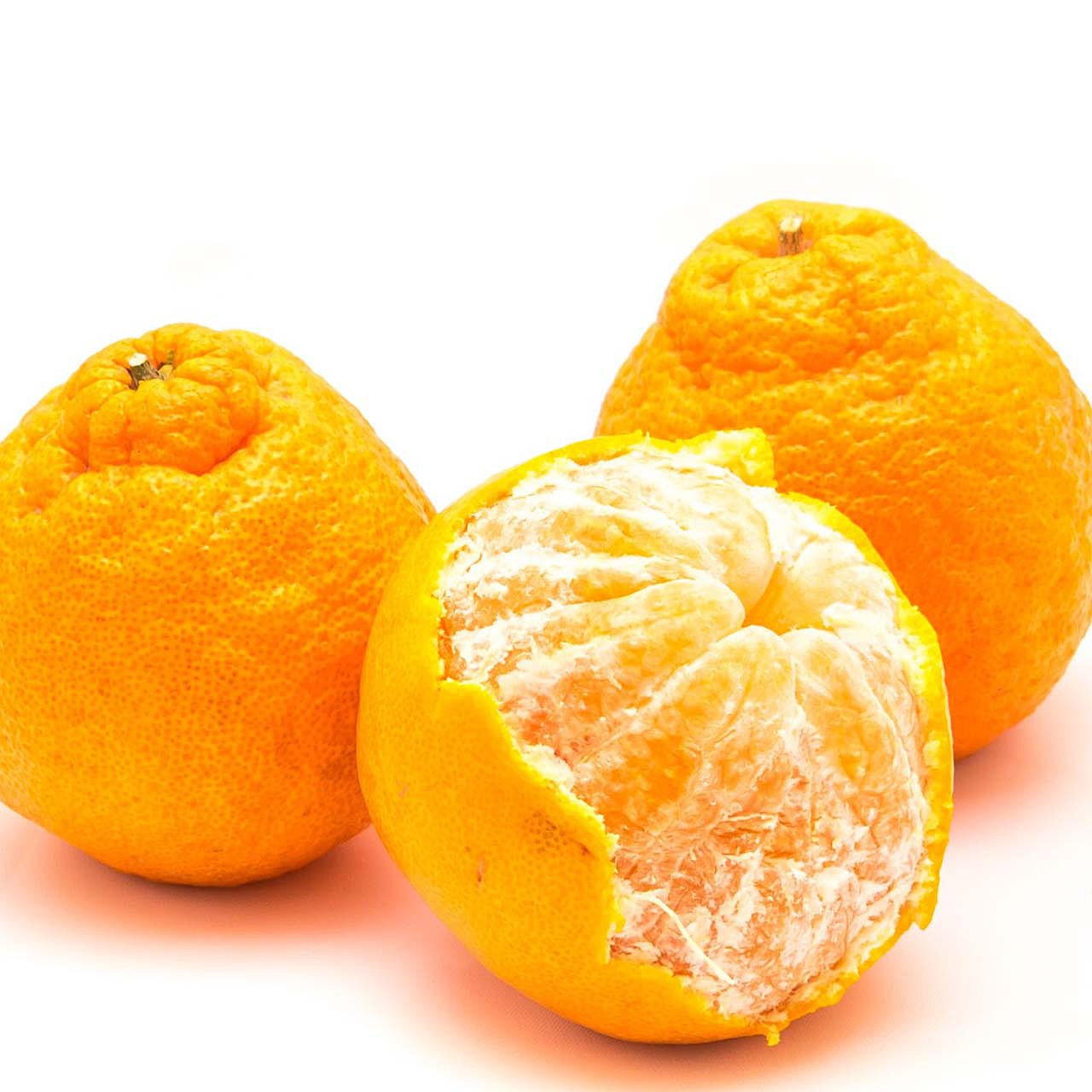 The Sumo orange is a new citrus star