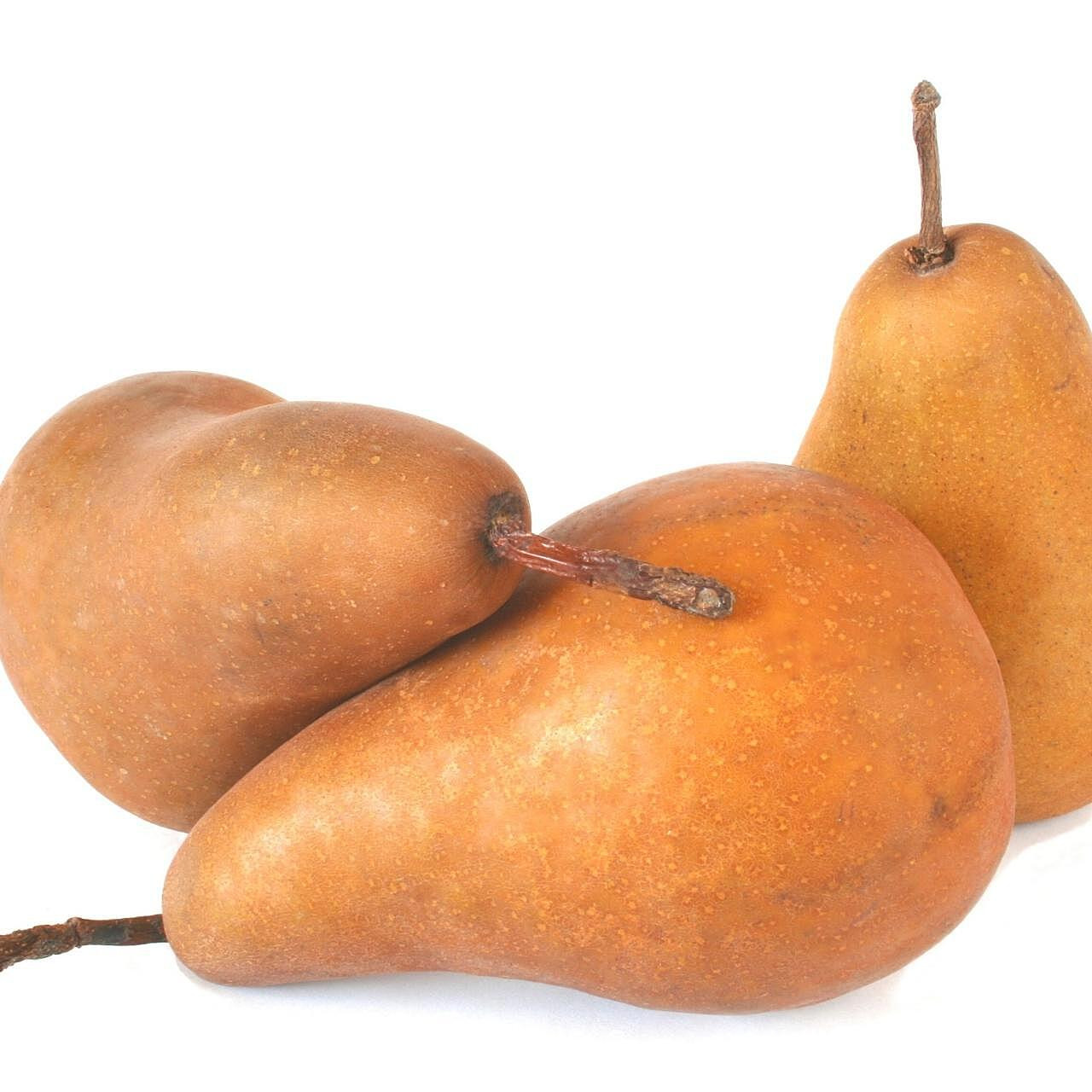 PEARBOS2#OR+ | Organic Bosc Pear (12/2#)