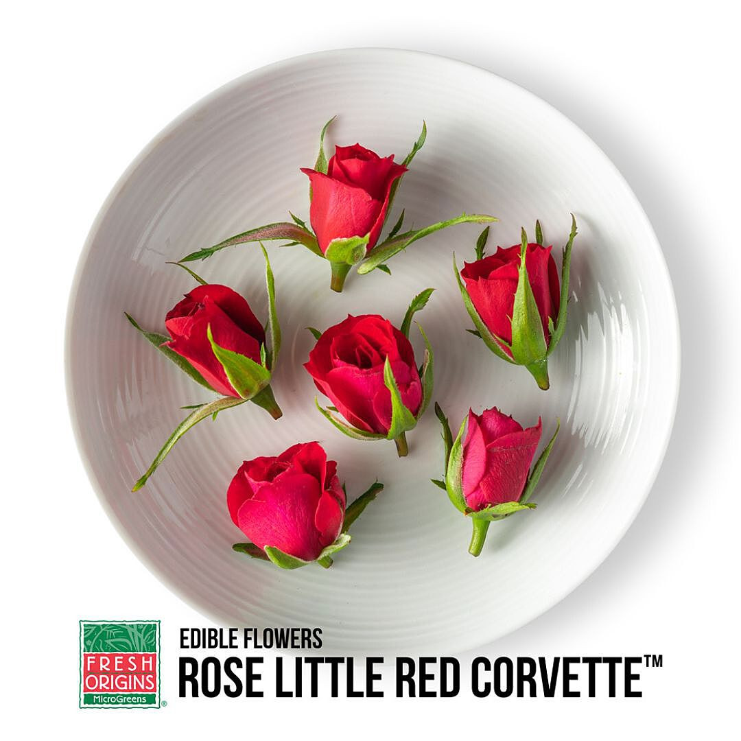 FLOROS025EDI | Edible Little Corvett Red Rose (25CT) - Pacific
