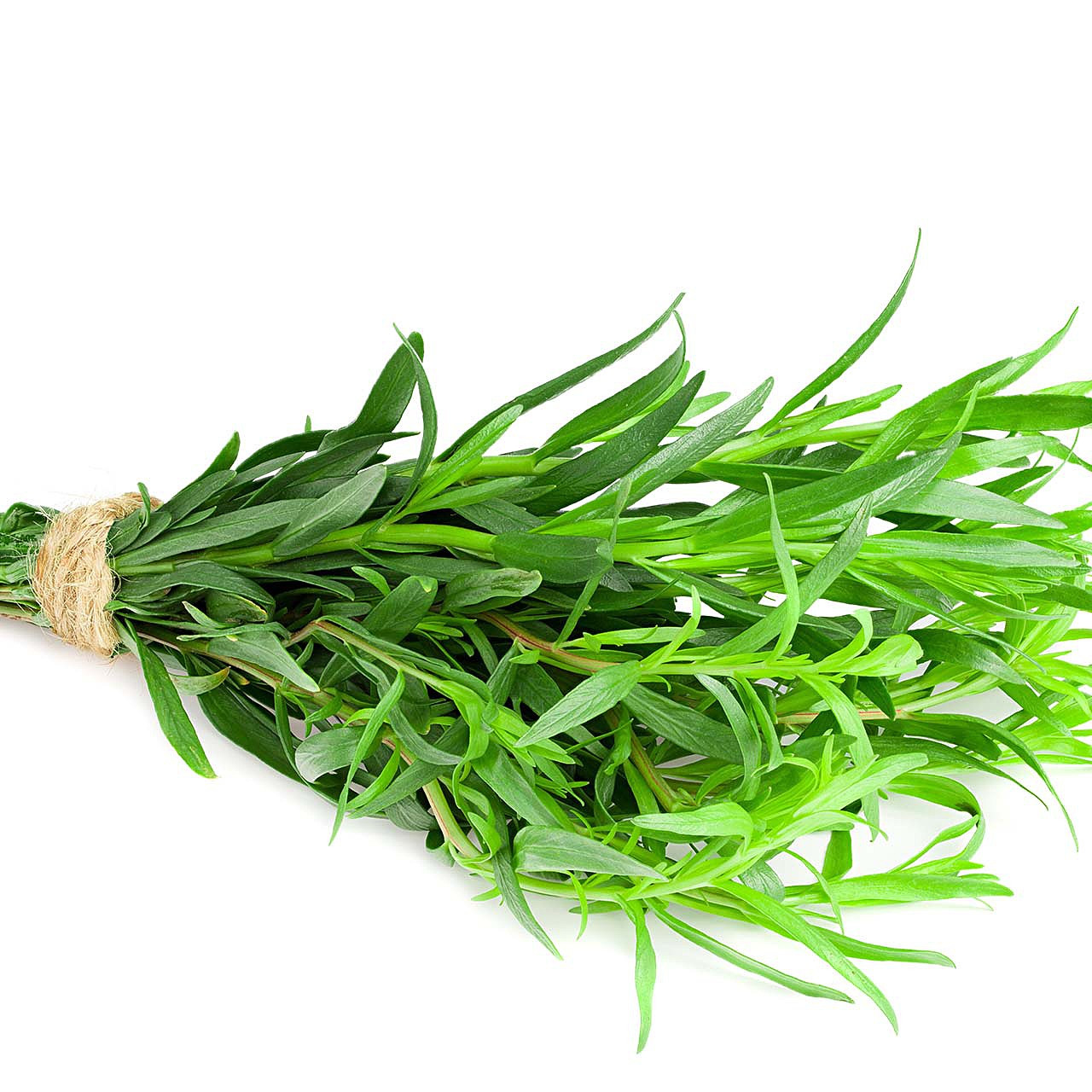 HERTAR03E Tarragon Bunch (3EA) Pacific Coast Fruit Co.