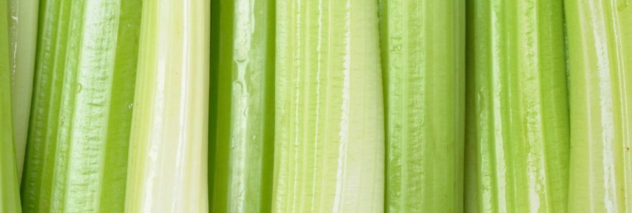 Celery