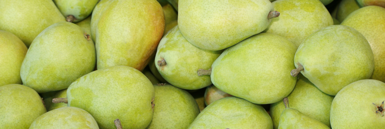 Comice Pears - Washington Comice Pear Growers - Washington Fruit