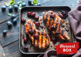 Grilled Pork Chops with Plum Chutney 