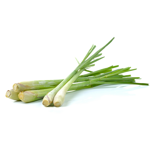 Lemongrass Herb