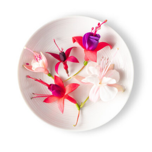 Fuchsia Flower Mix