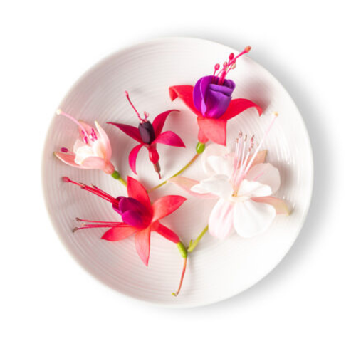 Fuchsia Flower Mix