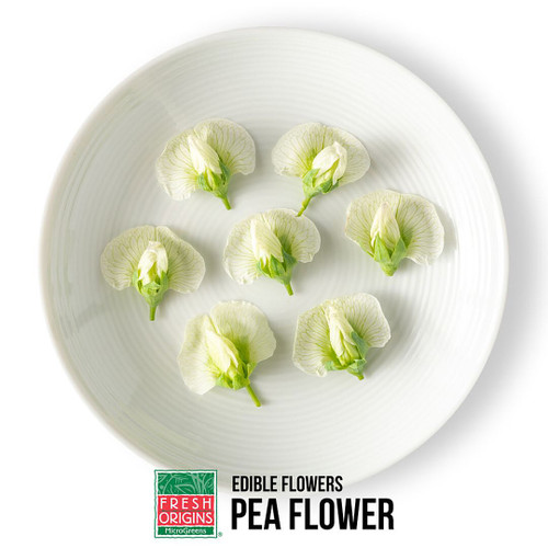 Pea Flowers