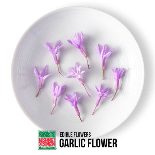 Garlic Blossom Flowers Garlic Blossom Flowers
