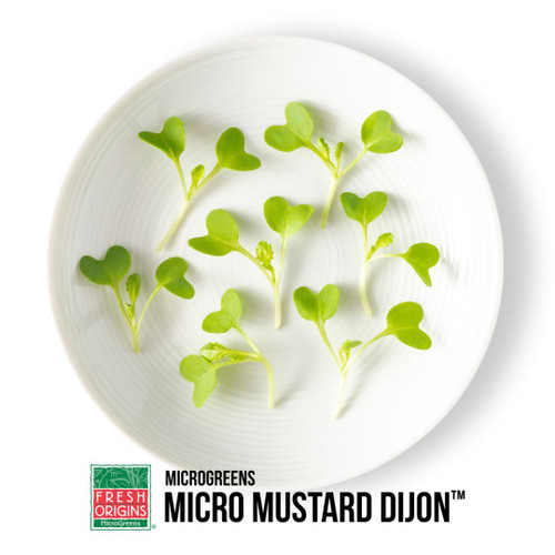 Micro Green Mustard Dijon