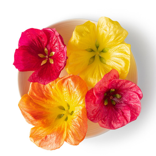 Edible Hibiscus Flower