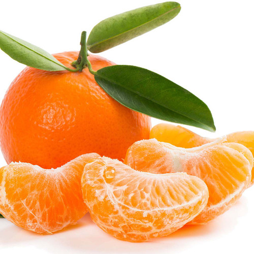 Tango Tangerine Stem & Leaf