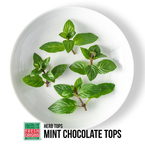 MICBAS04ZBAS | Micro Pineapple Mint (50CT) - Pacific Coast Fresh Co.