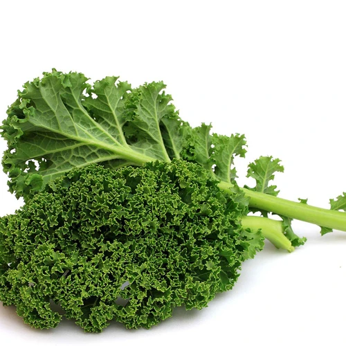 Organic Green Kale Bunch