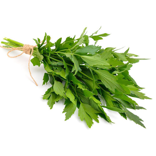 Lovage Herb

